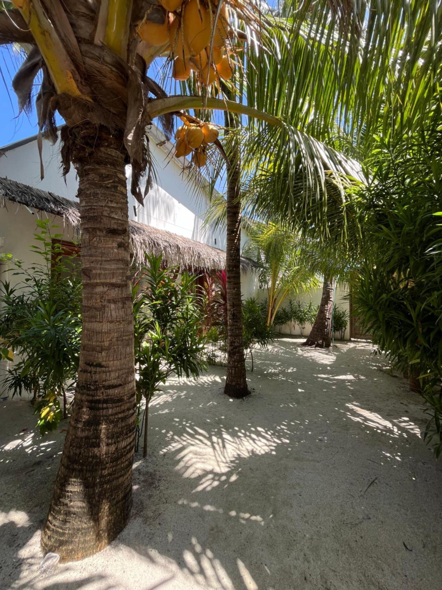 Villa Kudi Maldives Guest House Thulusdhoo Exterior photo